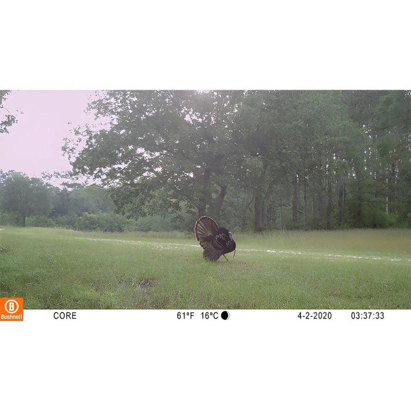 Bushnell-Camara-4K-30mp-Trampa-No-Glow