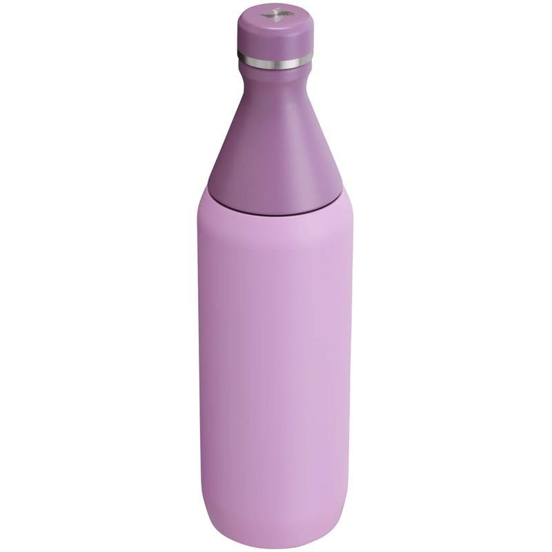 Web_PNG_Square-AllDaySlimBottle20OZ-Lilac-HeroBack